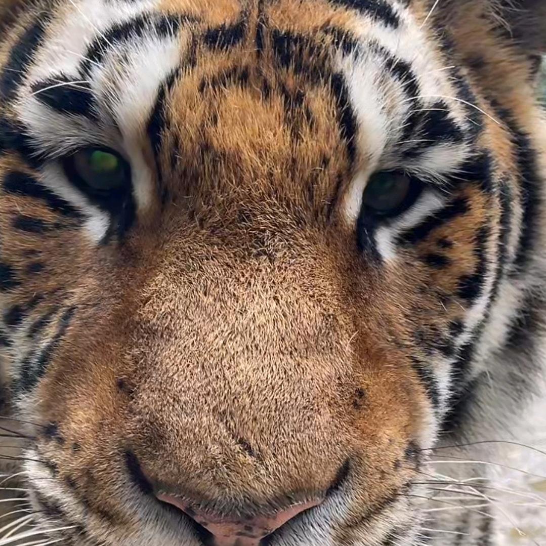 🌈𝓣𝓸𝓷𝔂🌈