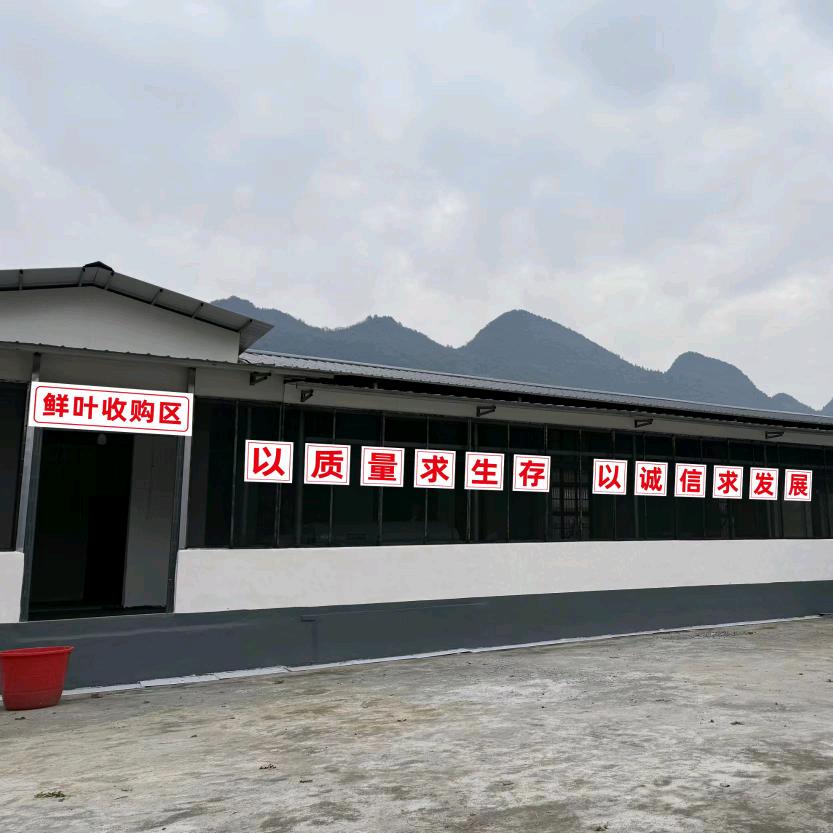 百立农业(红霞茶叶)