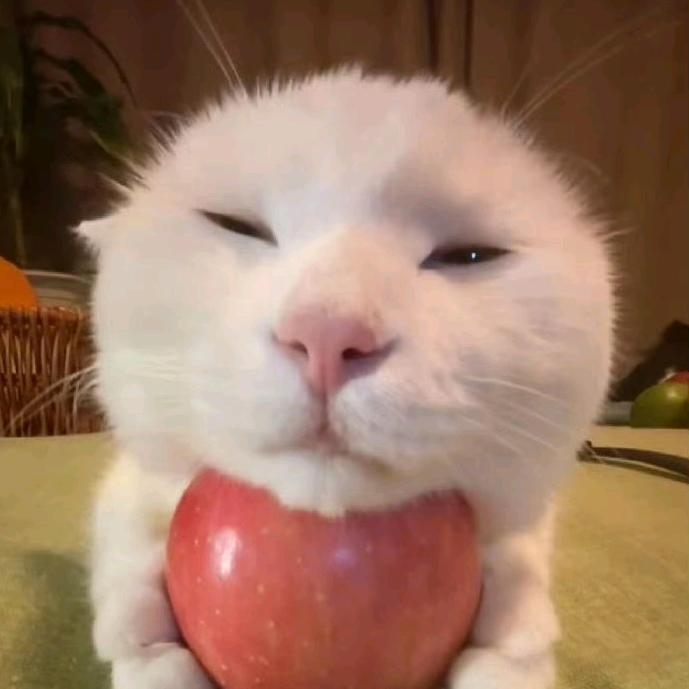 猪肝灭霸