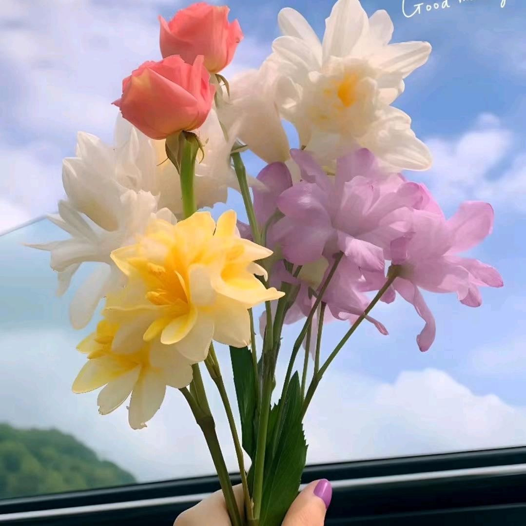꧁张菇凉꧂