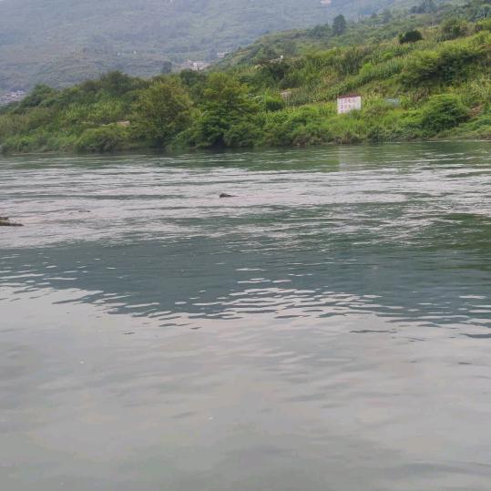 大师兄（刀）