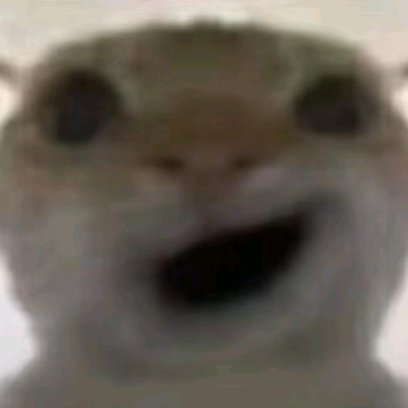 骁元FF