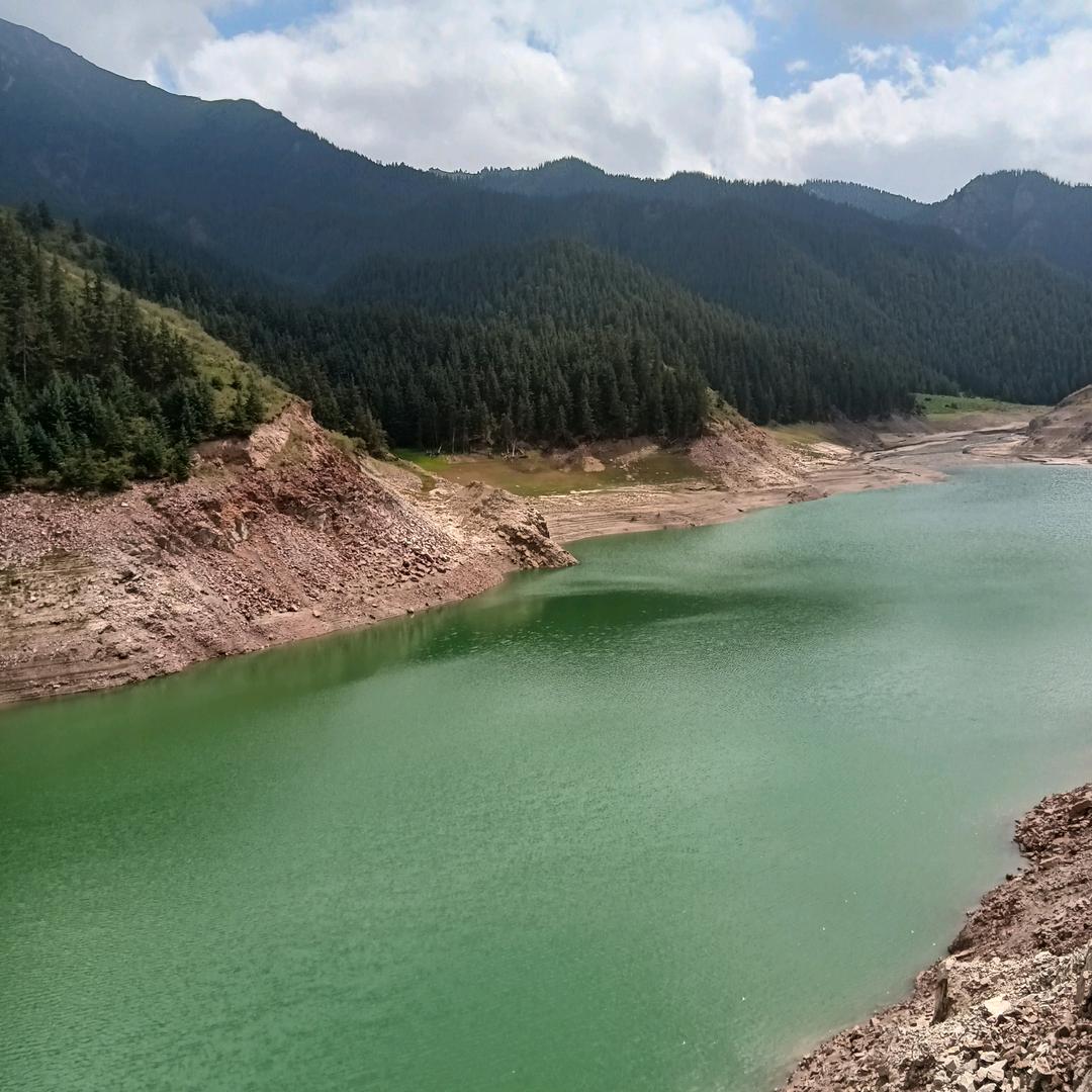 有你我就蹦嚓嚓