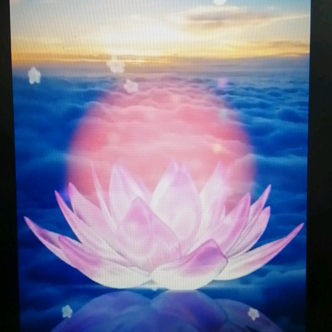 智士防危