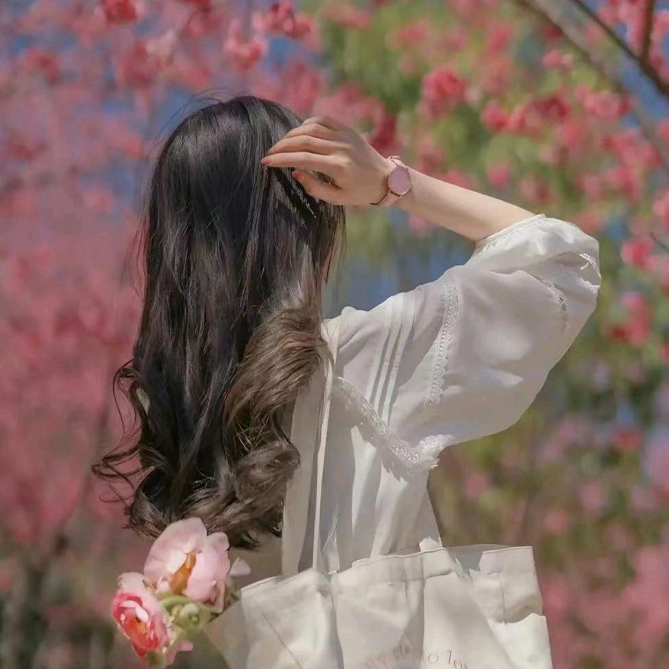 燕子姑娘汽车用品