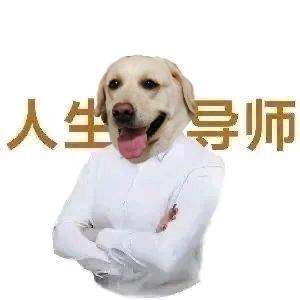 后知后觉的张小胖