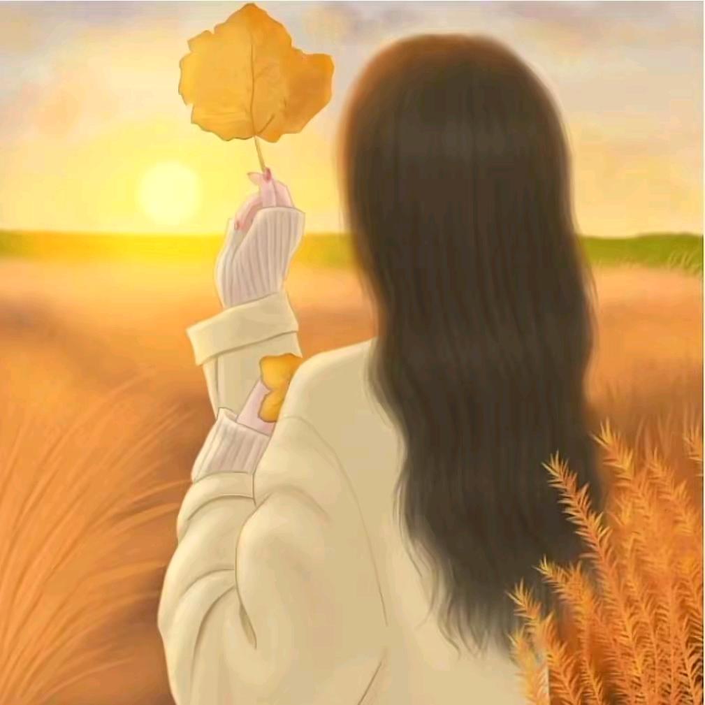 🍀@满天@星🍁