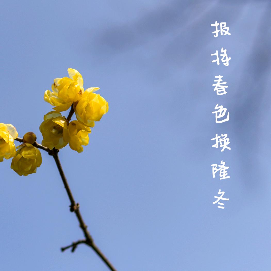 逸凡