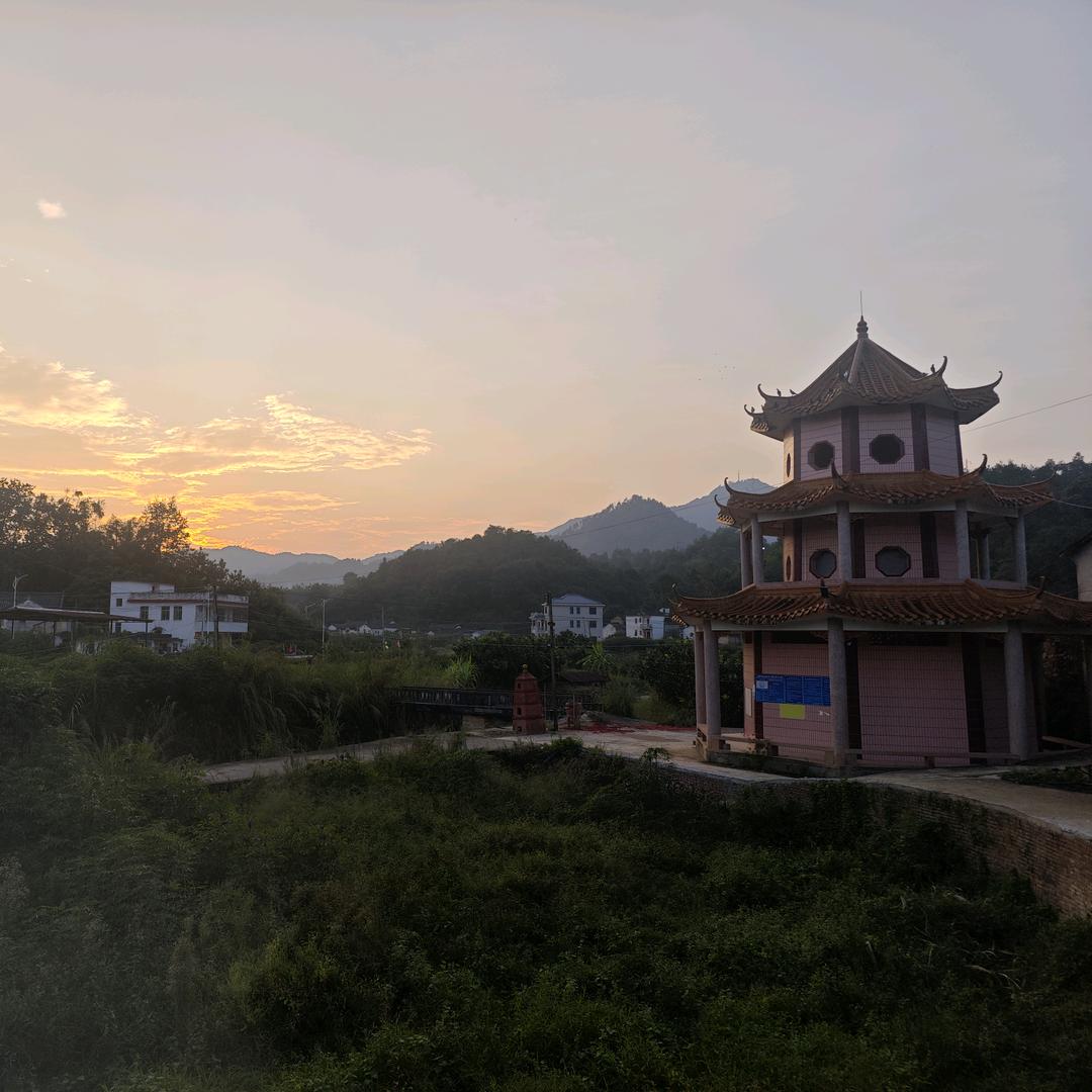 泽泽泽