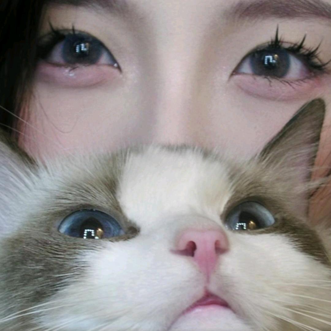 上上签！