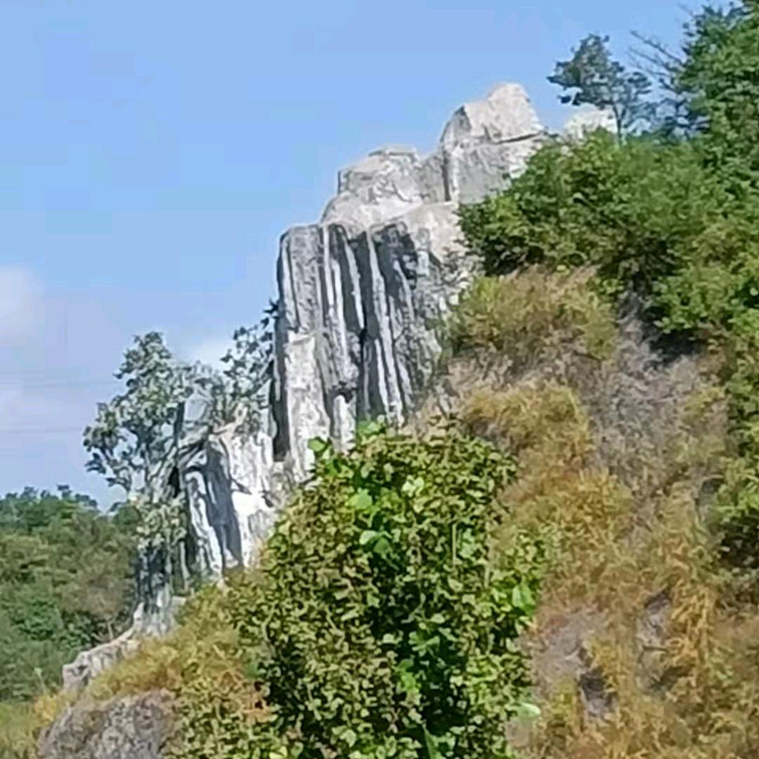 伊