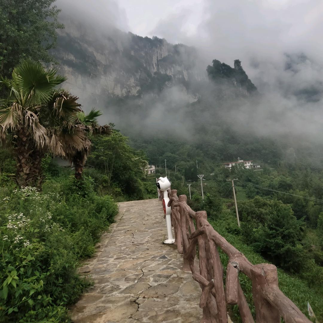 陈经拥有