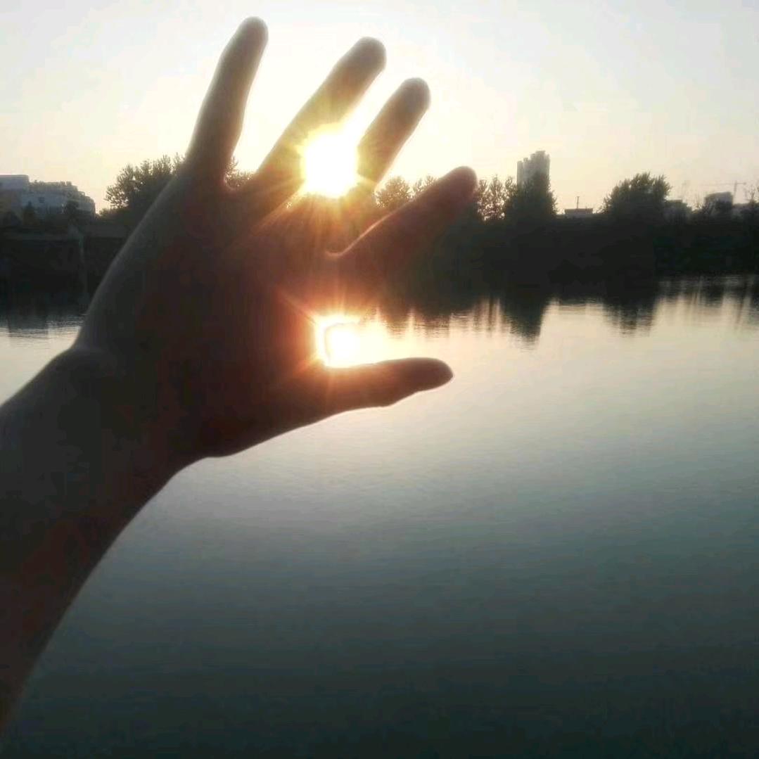 苗通 挖机推土机
