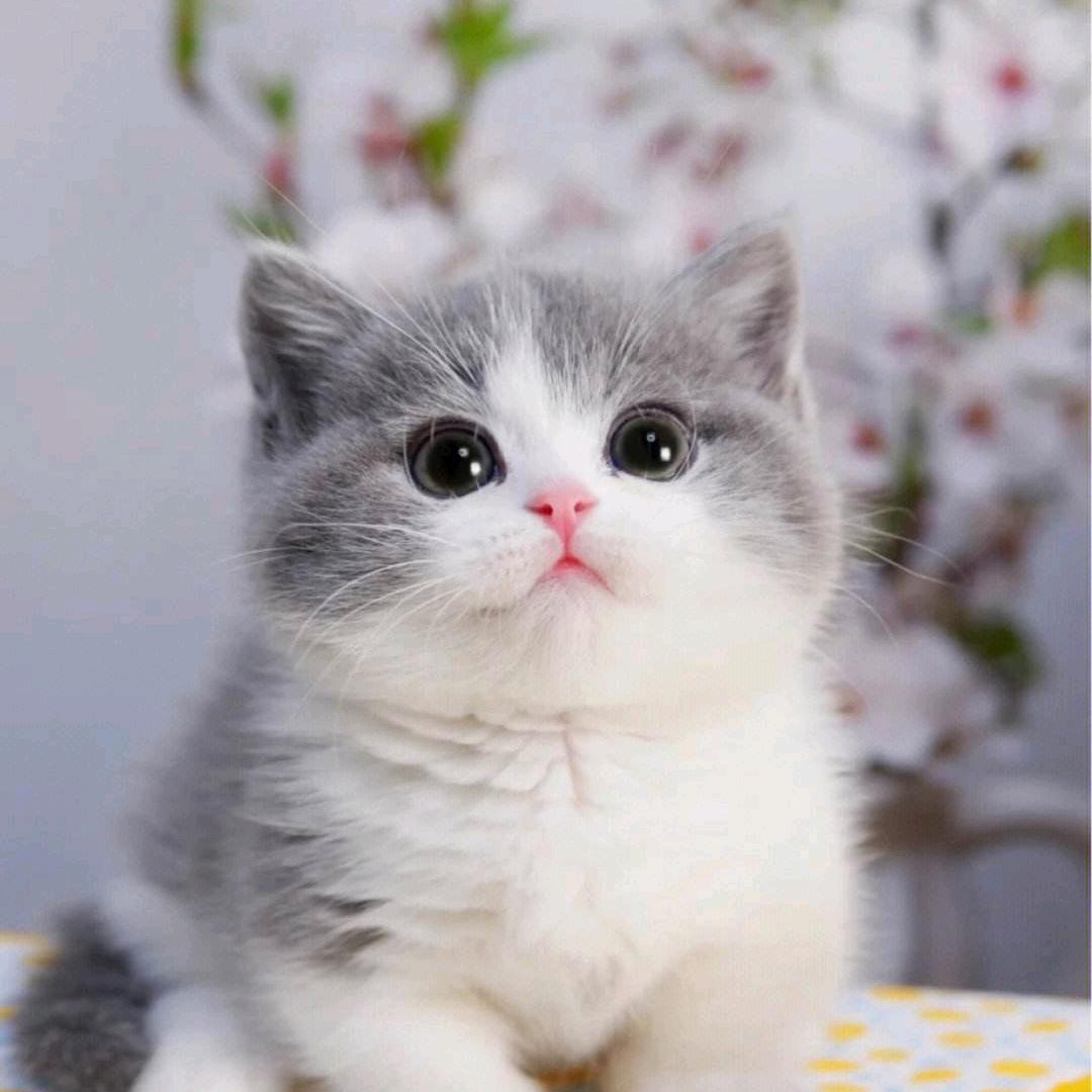 留不住情❤️留不住爱