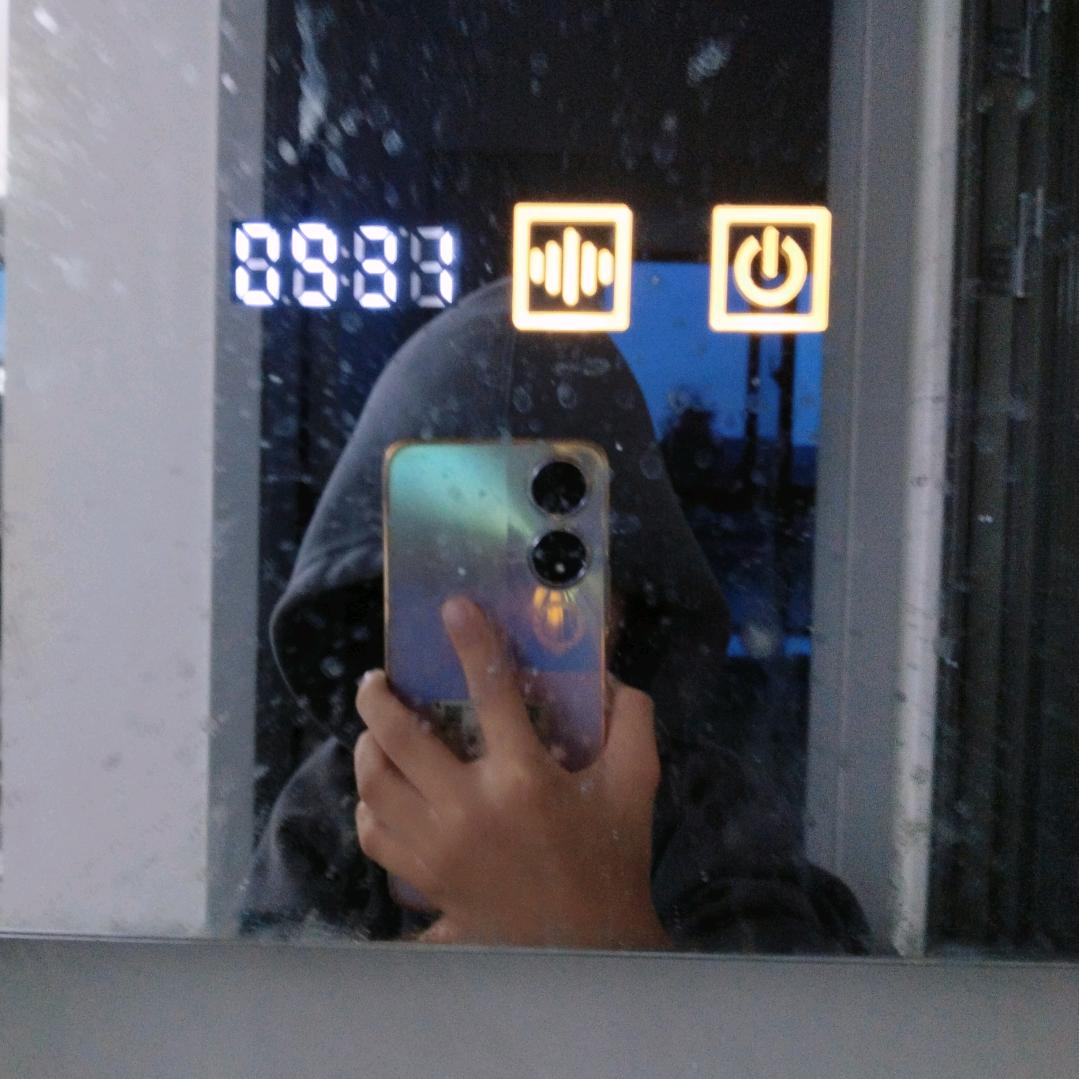 蛋仔派对赛号鸟