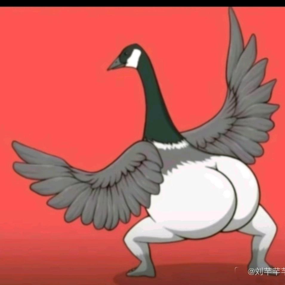 乐游