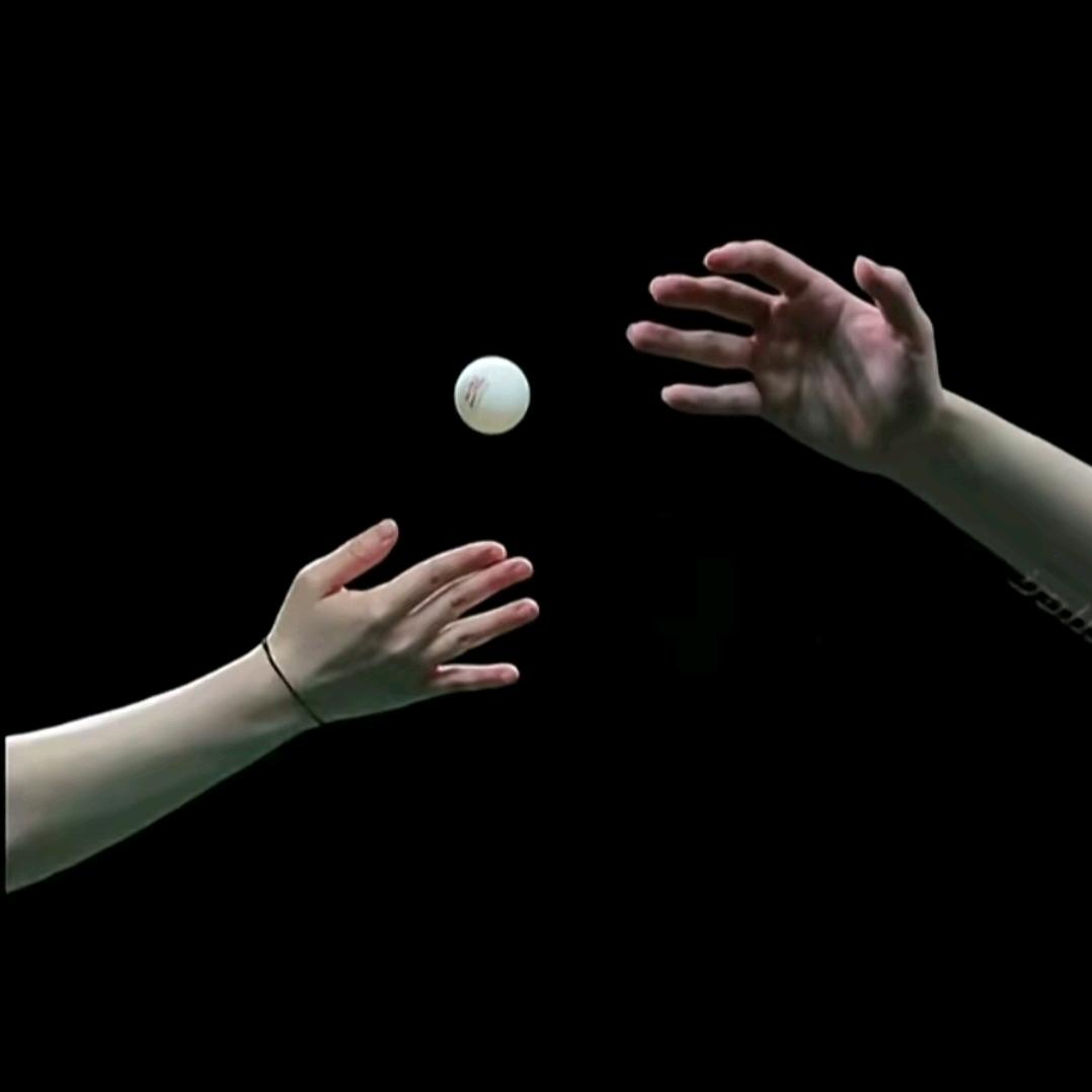 非常好先生和天才少女🦈🦁🏆