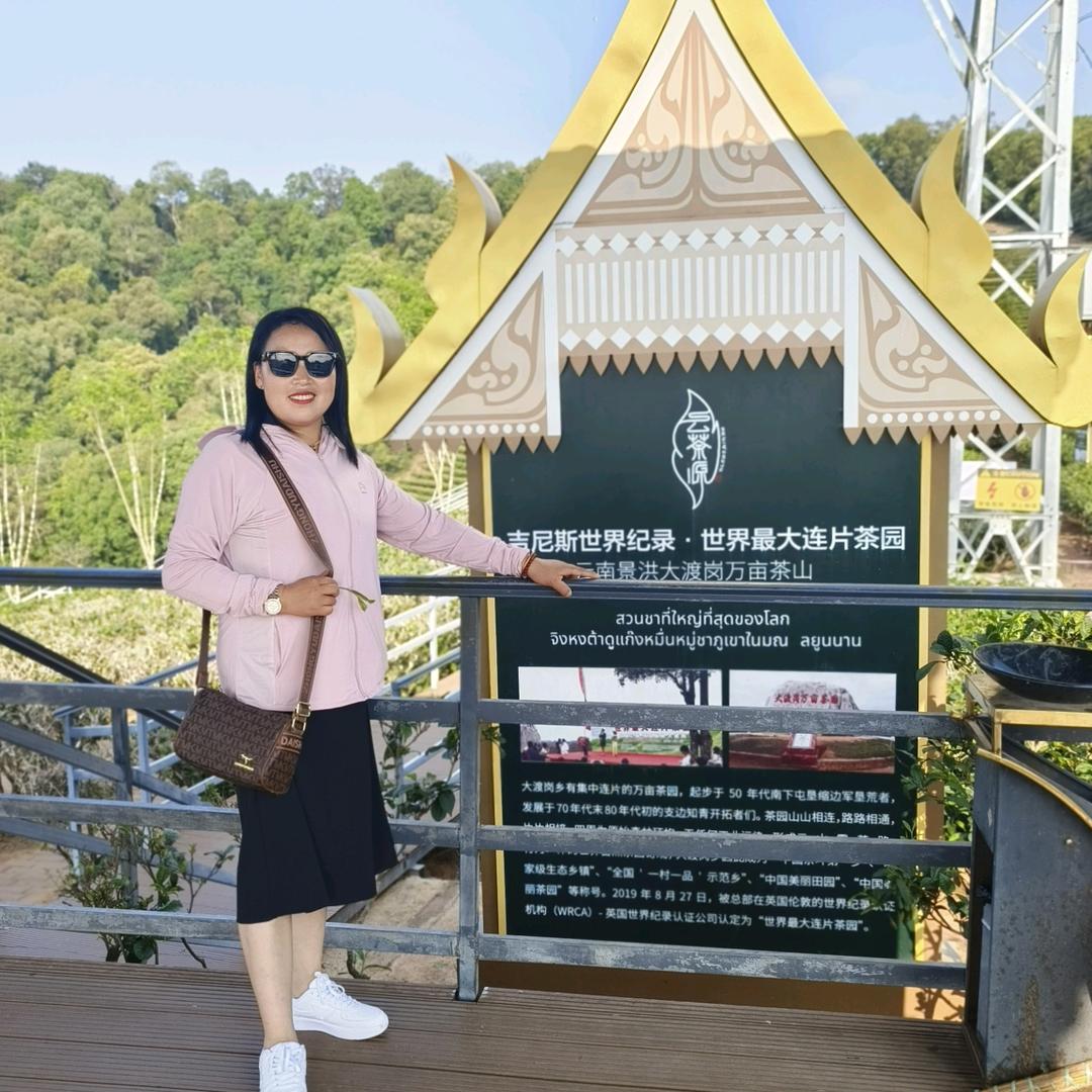 占得人间第一春