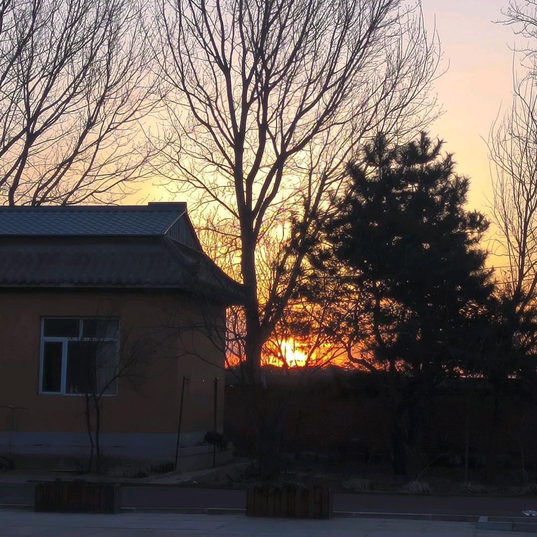 开心快乐每一天594