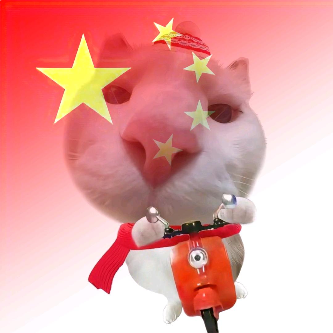 一天只吃九顿
