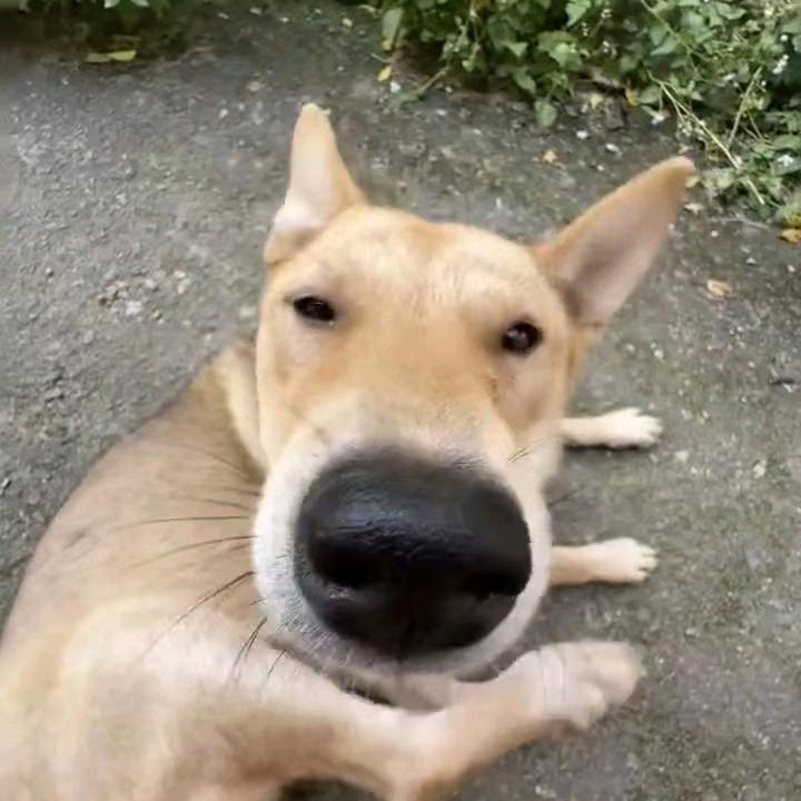 醉往昔