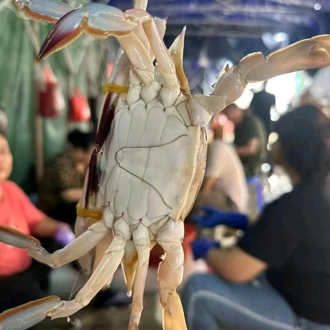 道辰海鲜