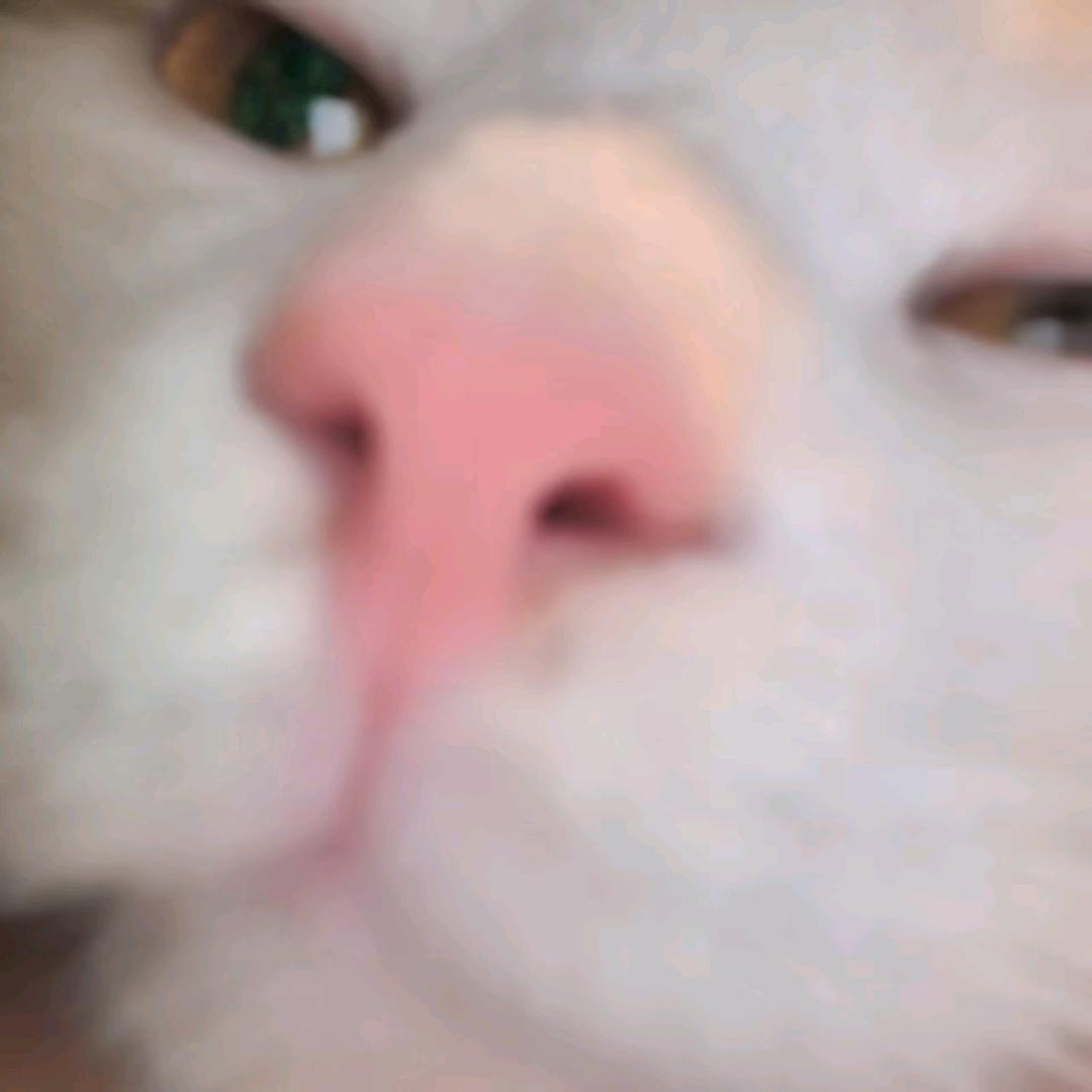 二情同依依