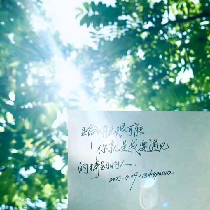 吴彦祖青岛分祖