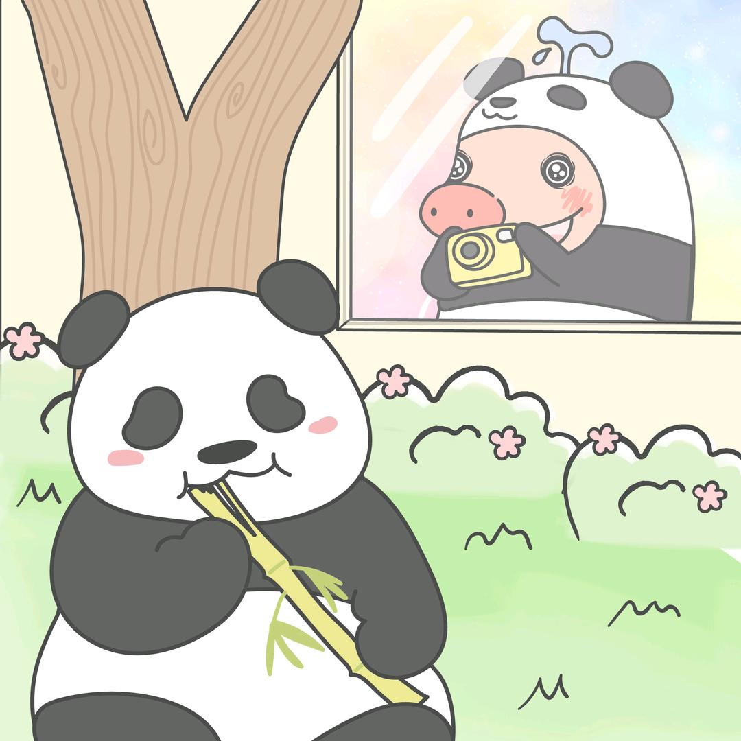 胖宝宝西西