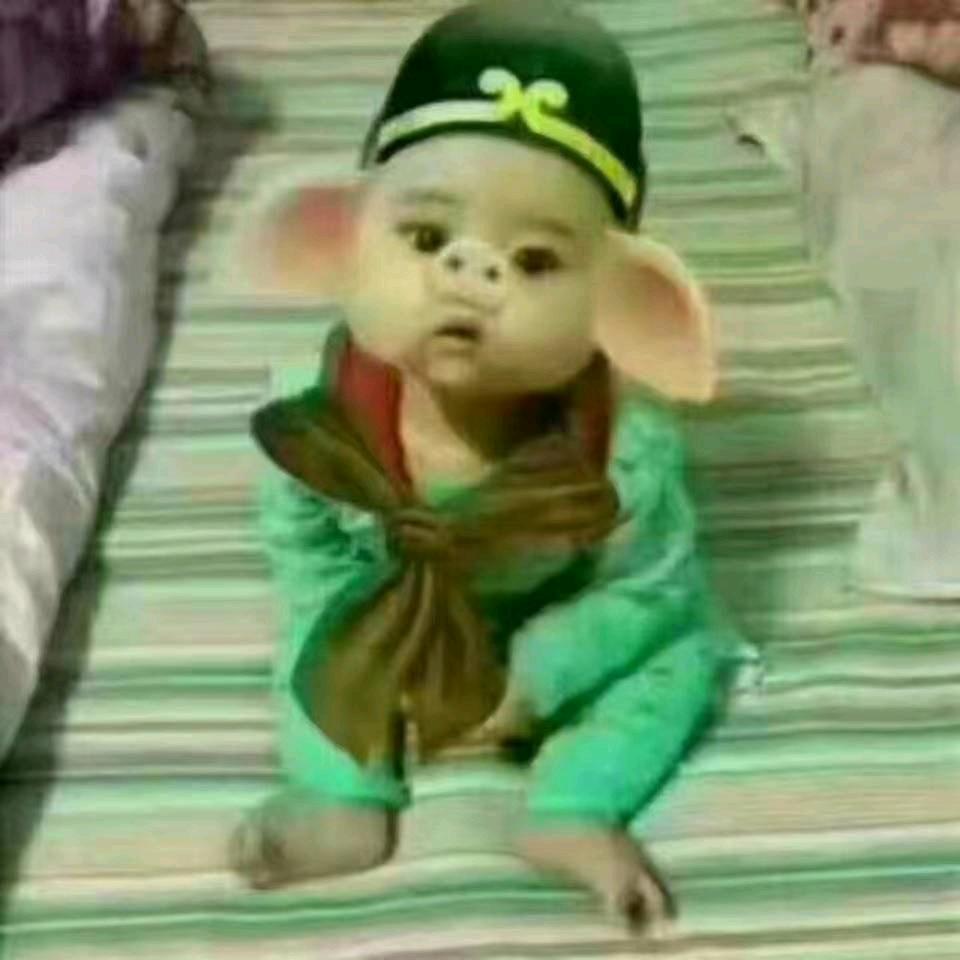 别理我，除非你给我钱花