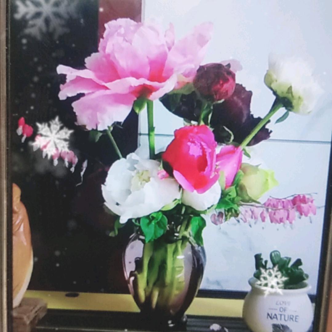 宽容的昌茂