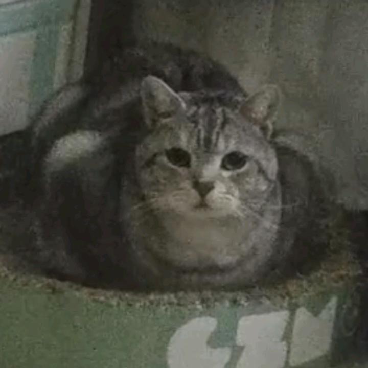 南北