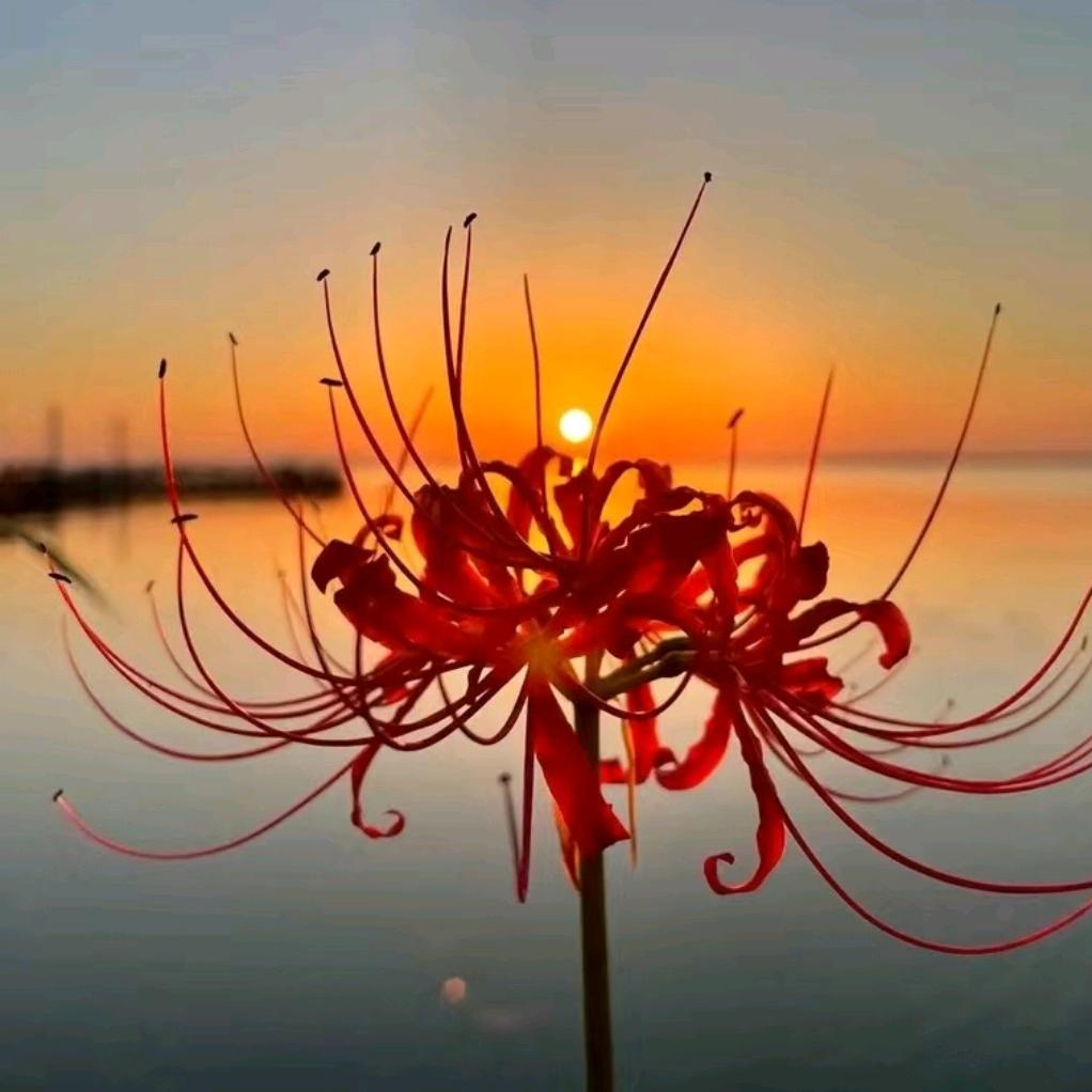 👉 💑💪沧桑大叔💪💑👈