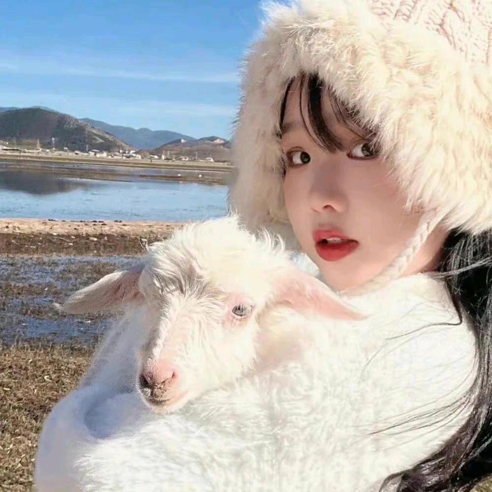 羊🐏