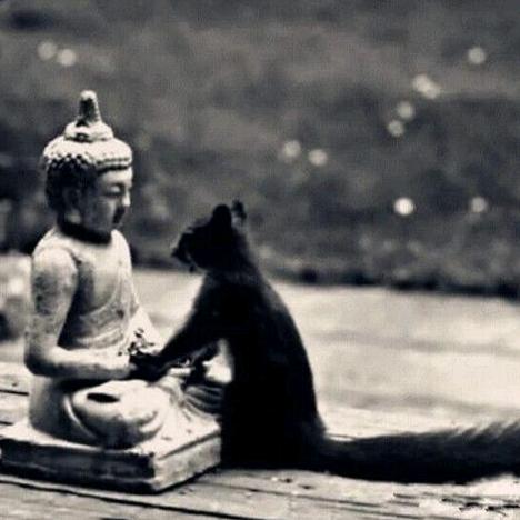 尘缘如梦，吾静守青灯