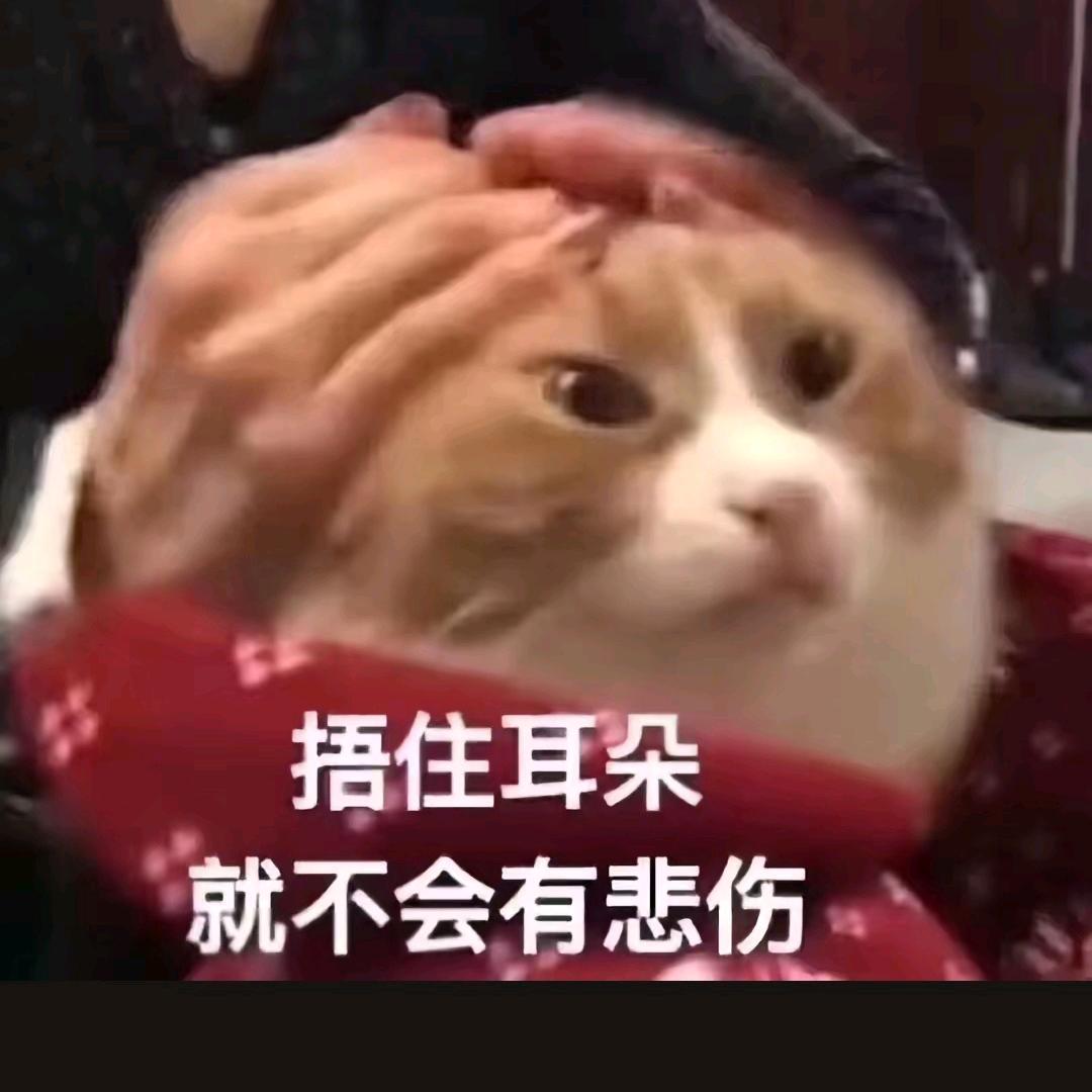 王百万的朋友圈