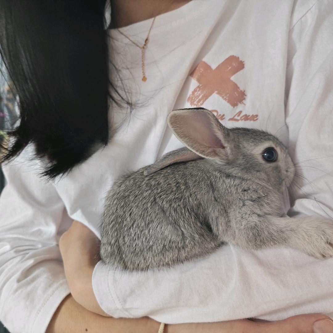 妞🐰🐰