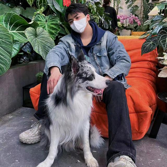 烟台  椿野  hair®彬彬℡设计
