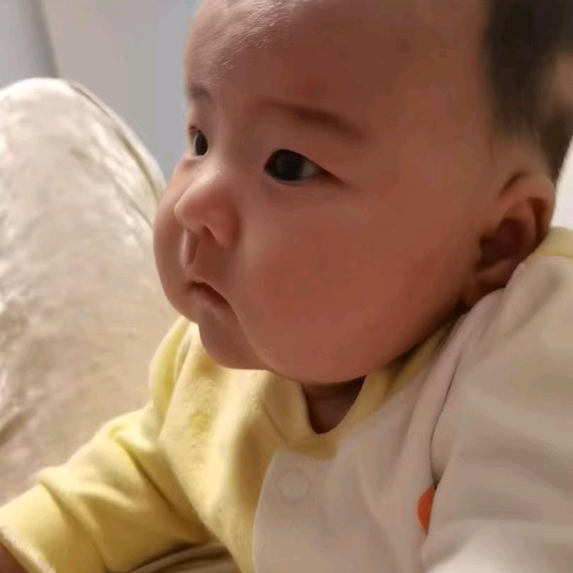 夏天的红玫瑰