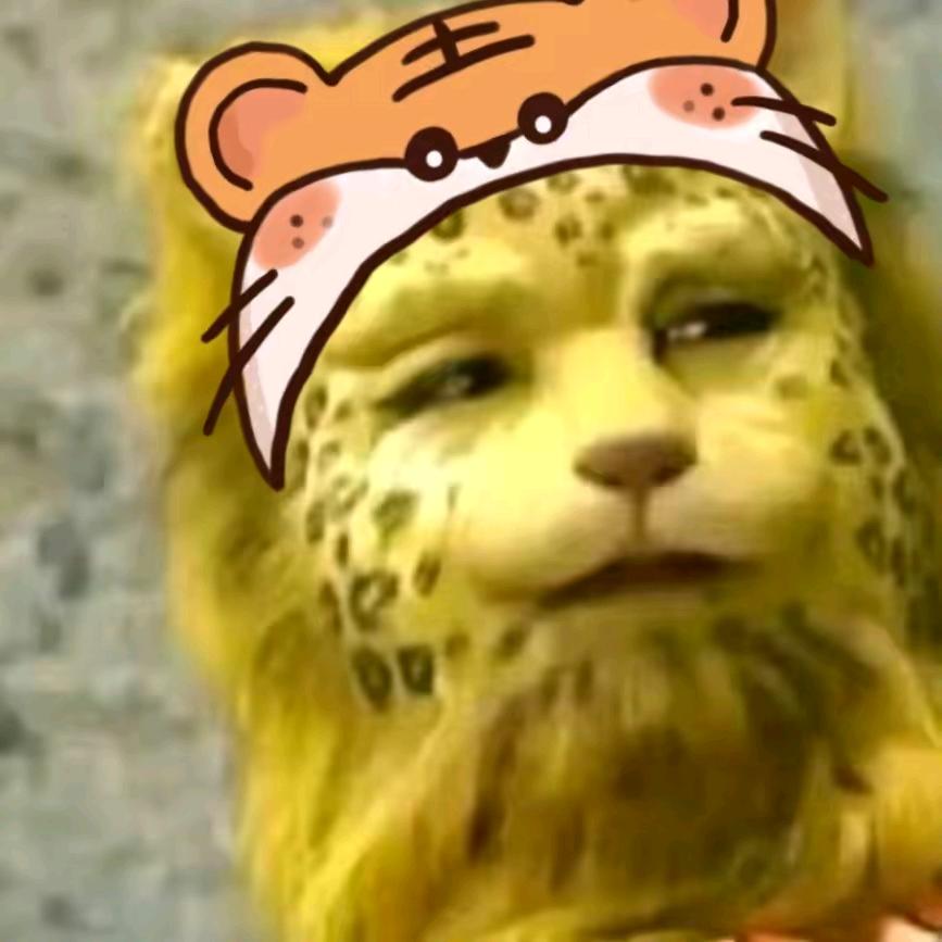 法国腼腆大蟑螂