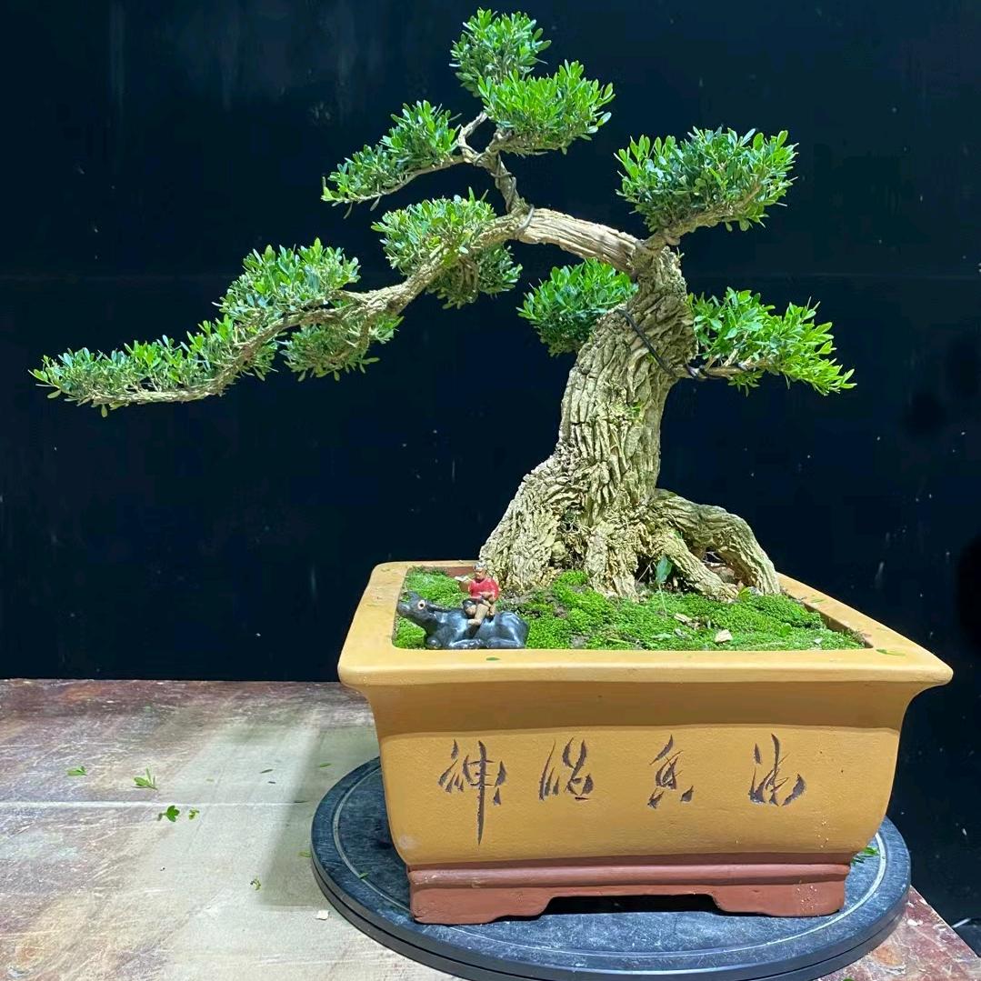文