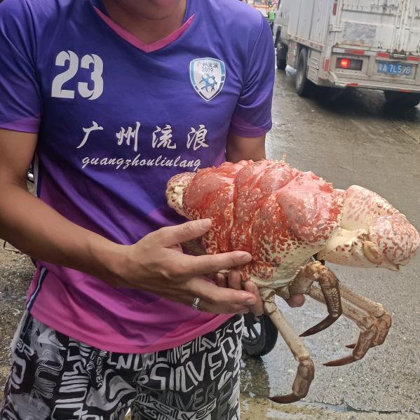 毳记海鲜「黄沙」