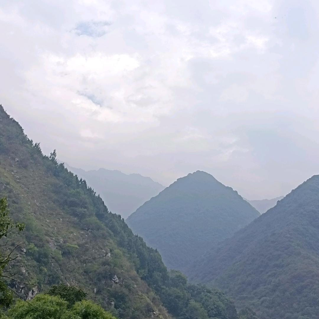 恰恰