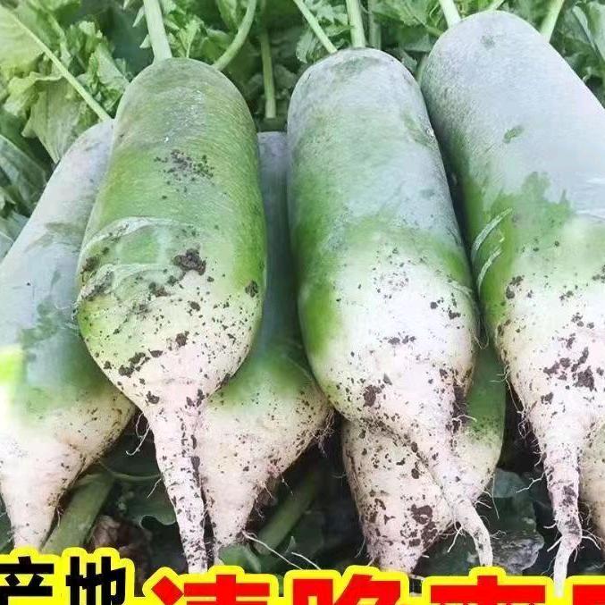 西府三秦特产直销店