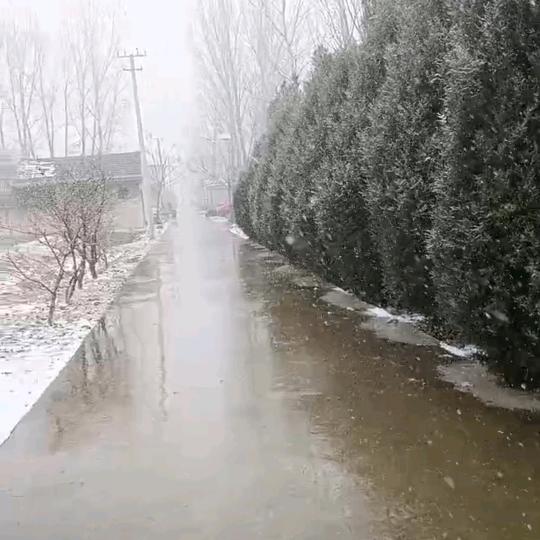 打工人