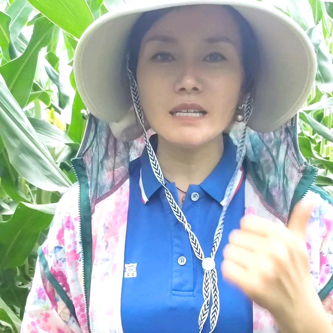 农业人小语