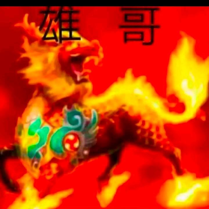 雄哥🦄🦄从新开始