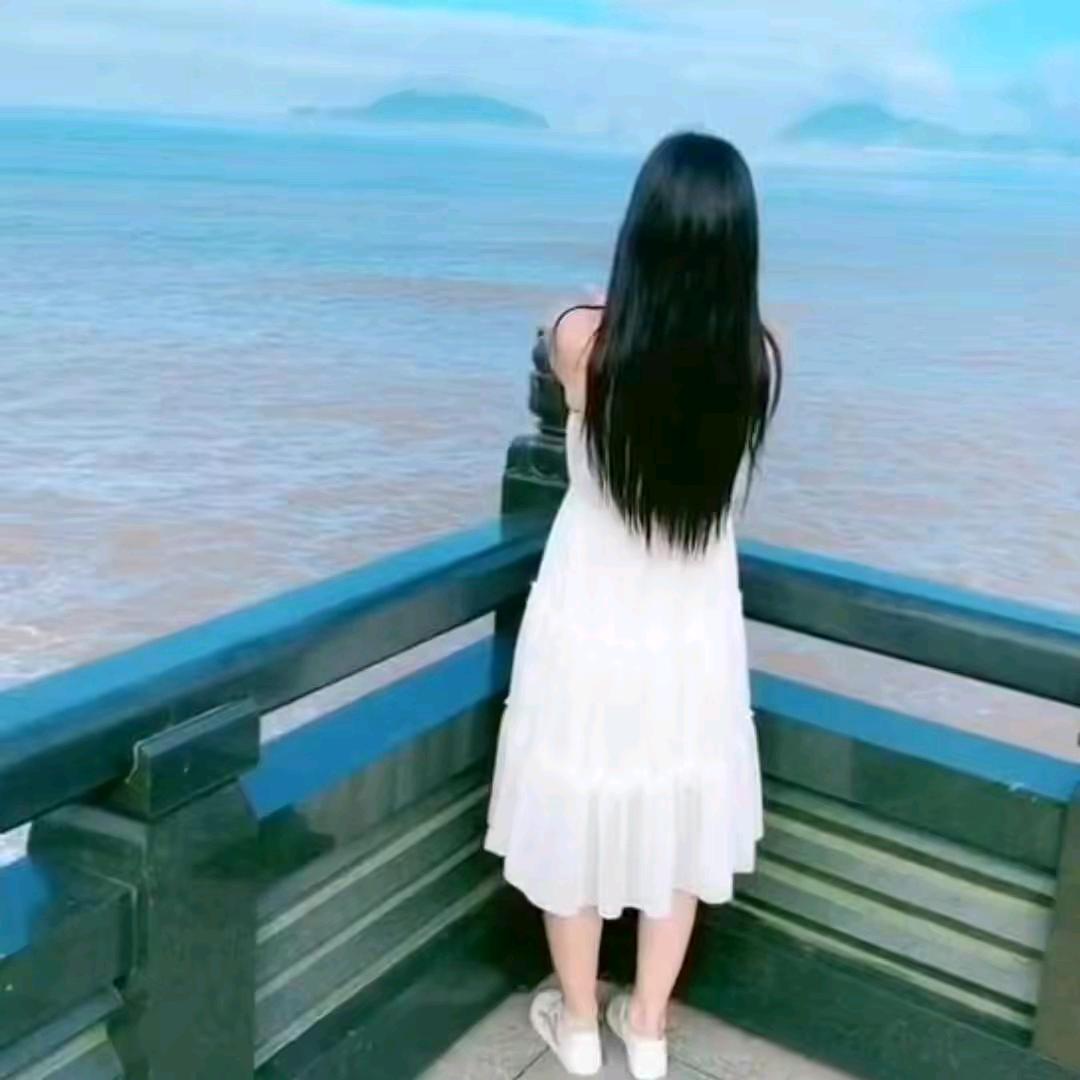 青青豪武