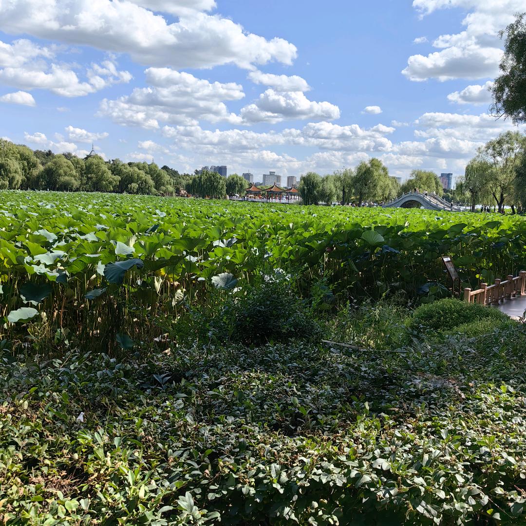 用户6804218430097l