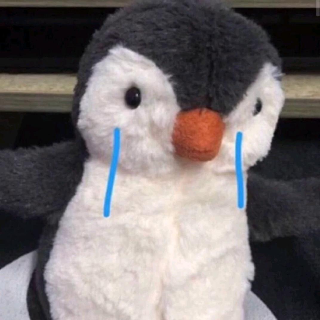 早点睡真难啊喂